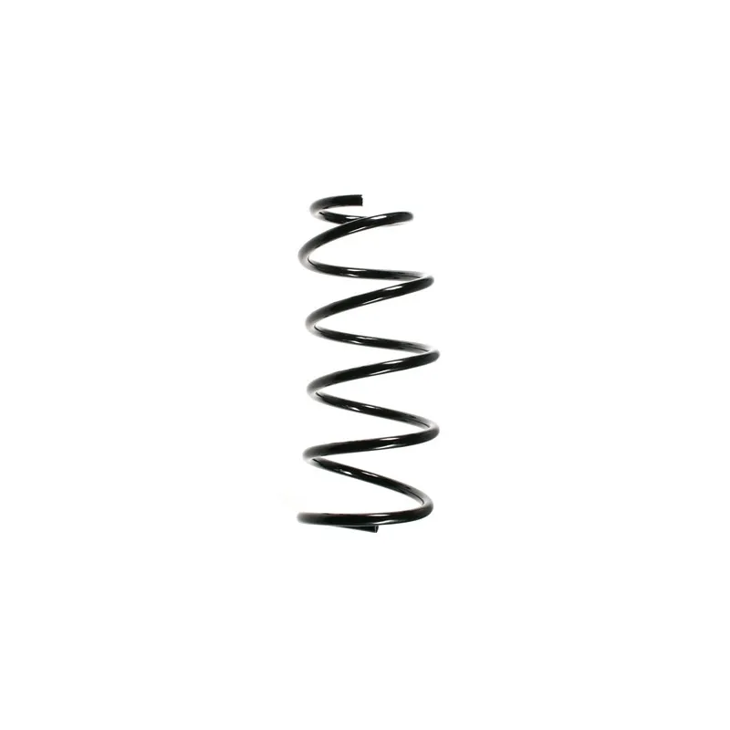 Ressort de suspension SPIDAN 56622