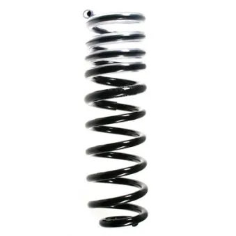 Ressort de suspension SPIDAN 56624