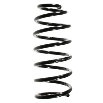 Ressort de suspension SPIDAN 56635