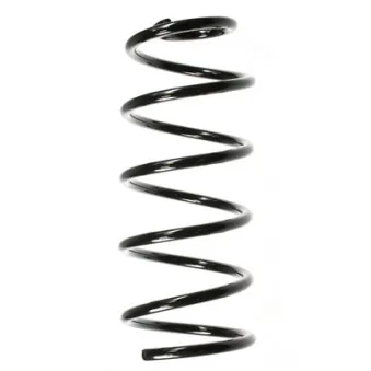 Ressort de suspension SPIDAN 56636