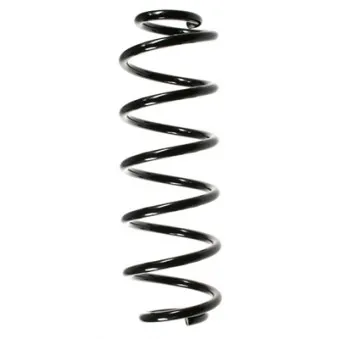Ressort de suspension SPIDAN 56638