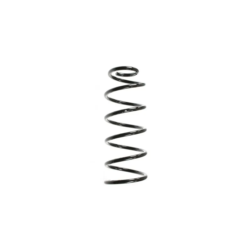 Ressort de suspension SPIDAN 56646