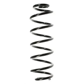 Ressort de suspension SPIDAN 56650