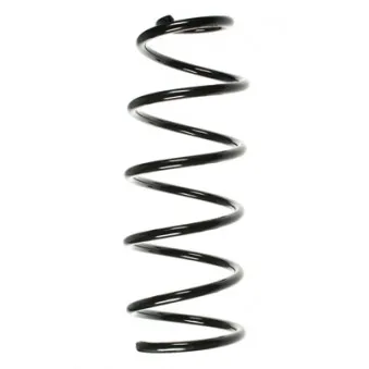Ressort de suspension SPIDAN 56651