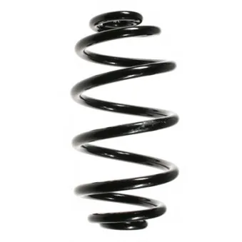 Ressort de suspension SPIDAN 56658