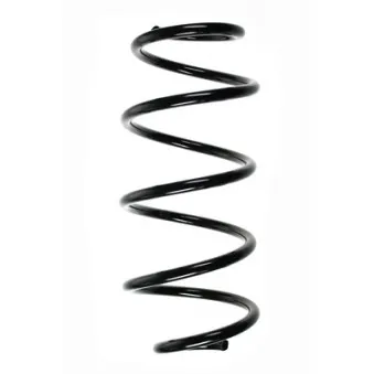 Ressort de suspension SPIDAN 56659