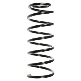 Ressort de suspension SPIDAN 56660