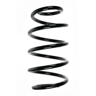 Ressort de suspension SPIDAN 56668