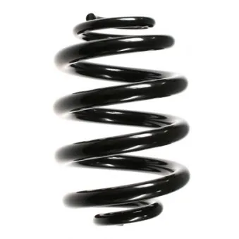 Ressort de suspension SPIDAN 56670