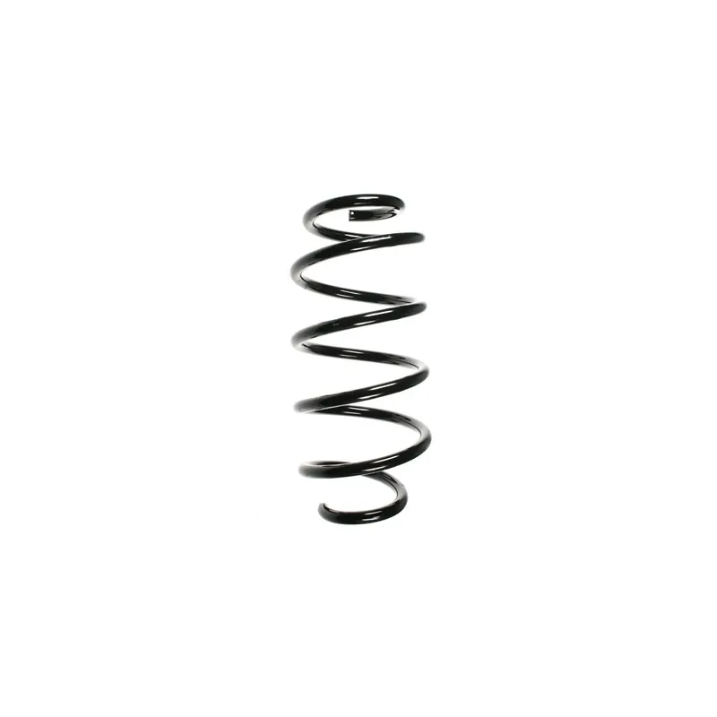 Ressort de suspension SPIDAN 56675