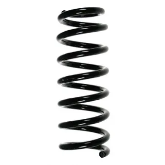 Ressort de suspension SPIDAN 56683