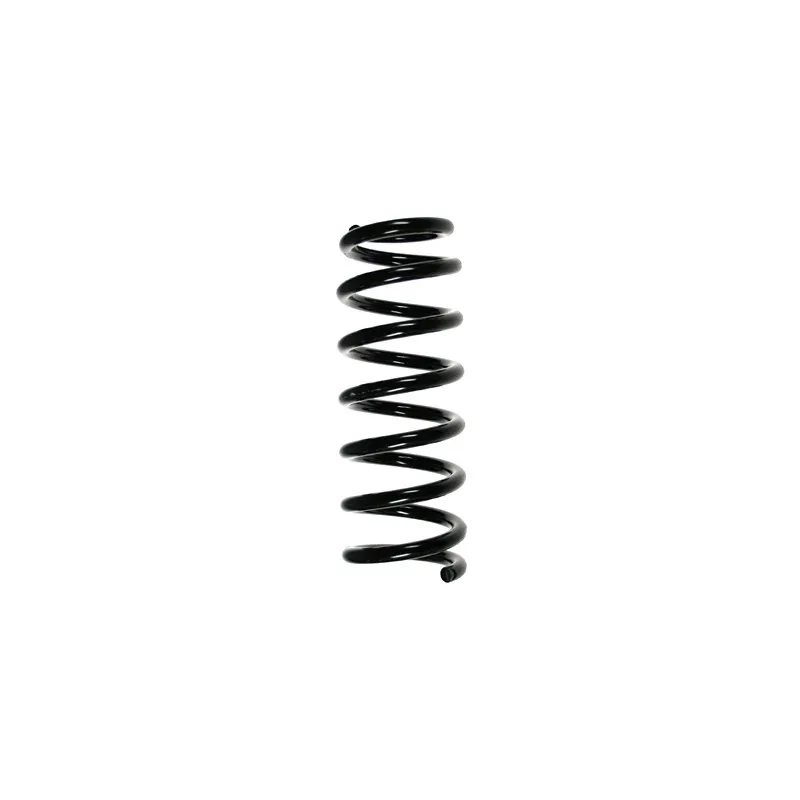 Ressort de suspension SPIDAN 56683