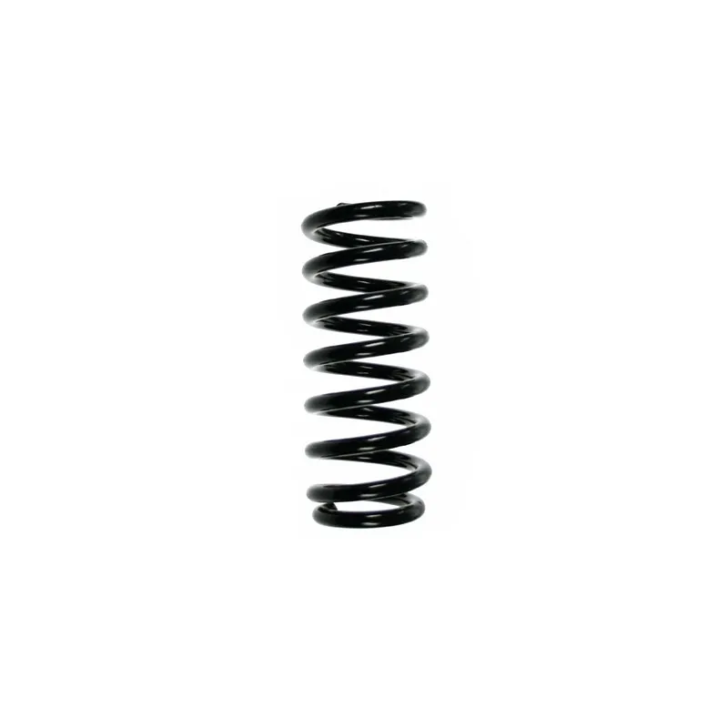 Ressort de suspension SPIDAN 56689