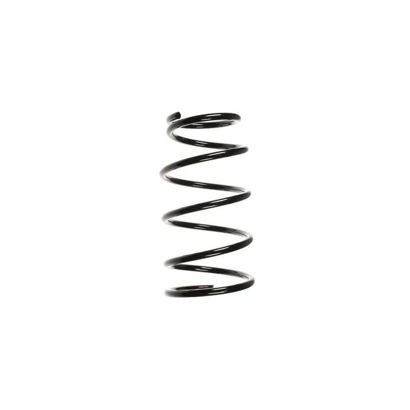 Ressort de suspension SPIDAN 56694