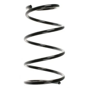 Ressort de suspension SPIDAN 56704
