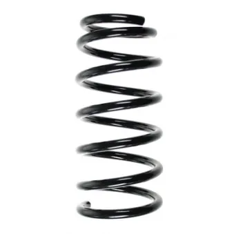 Ressort de suspension SPIDAN 56705