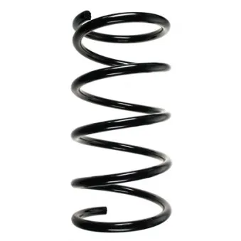 Ressort de suspension SPIDAN 56731