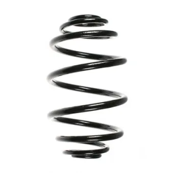 Ressort de suspension SPIDAN 56735