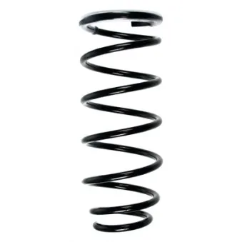 Ressort de suspension SPIDAN 56743