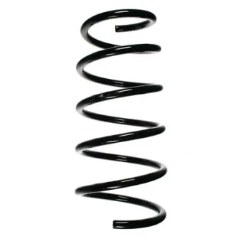 Ressort de suspension SPIDAN 56784