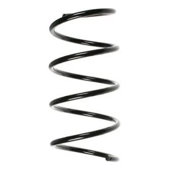 Ressort de suspension SPIDAN 56786