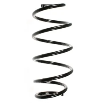 Ressort de suspension SPIDAN 56788