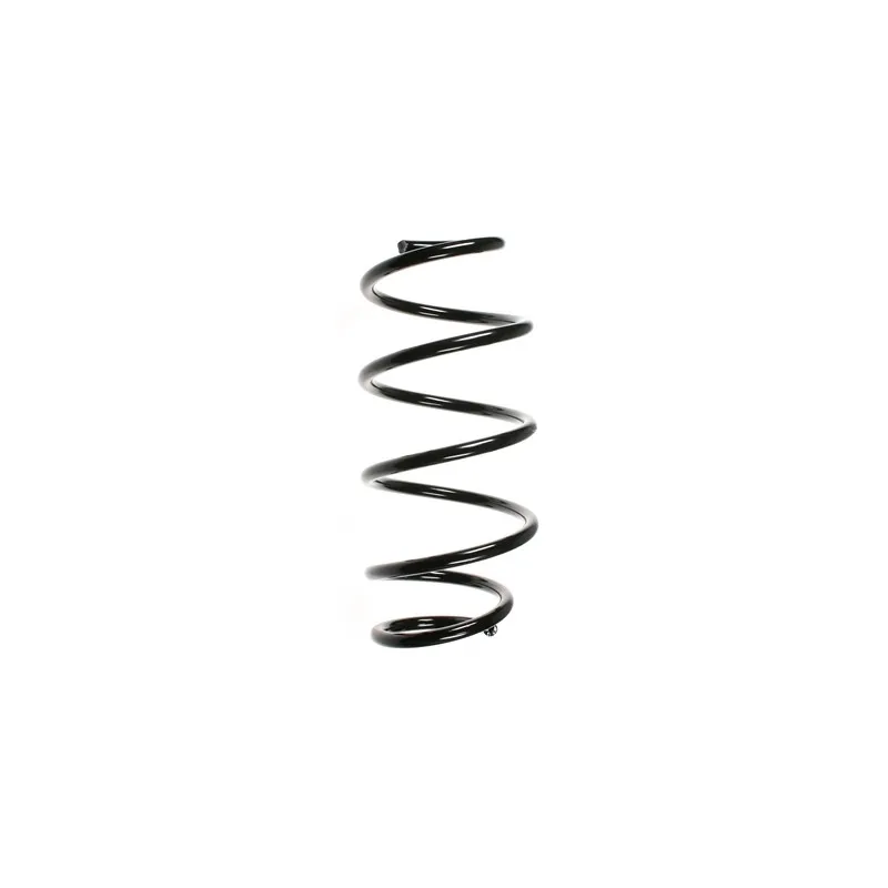 Ressort de suspension SPIDAN 56788