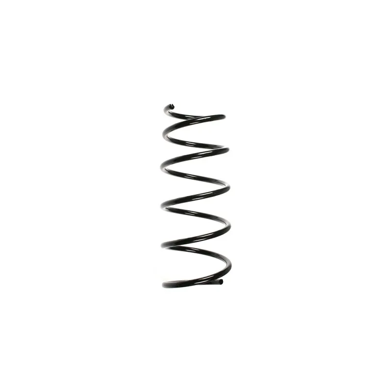 Ressort de suspension SPIDAN 56796