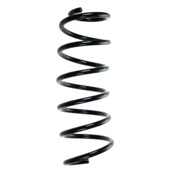 Ressort de suspension SPIDAN 56798