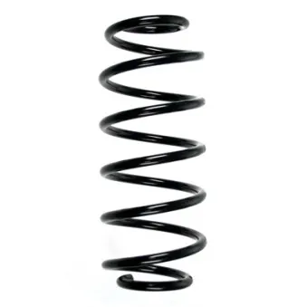 Ressort de suspension SPIDAN 56799