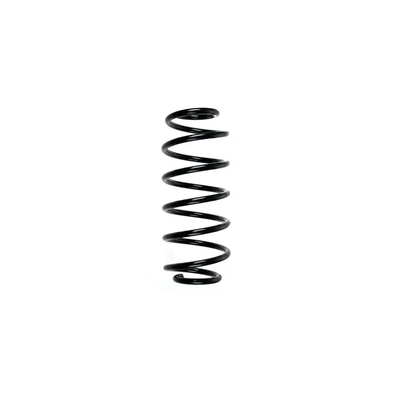 Ressort de suspension SPIDAN 56799