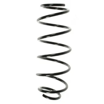 Ressort de suspension SPIDAN 56802