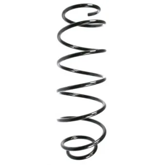 Ressort de suspension SPIDAN 56803
