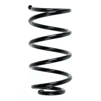 Ressort de suspension SPIDAN 56808