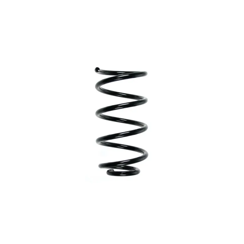 Ressort de suspension SPIDAN 56808