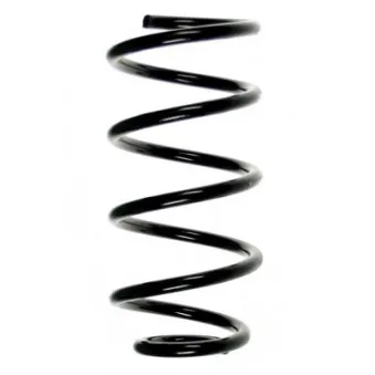 Ressort de suspension SPIDAN 56809