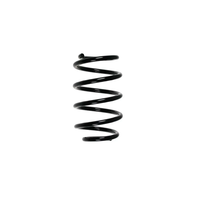 Ressort de suspension SPIDAN 56810