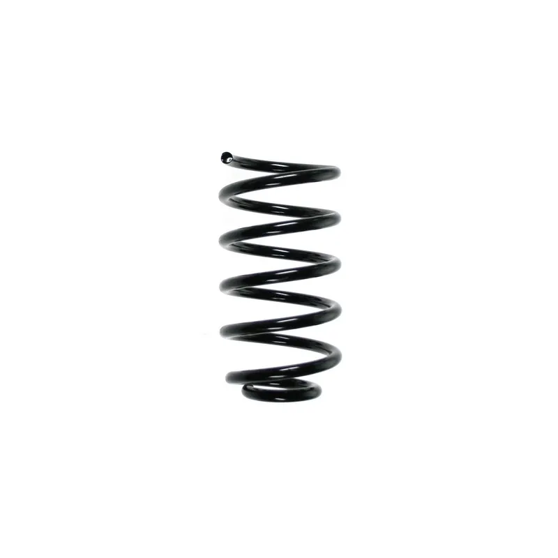 Ressort de suspension SPIDAN 56811