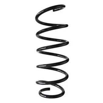 Ressort de suspension SPIDAN 56812