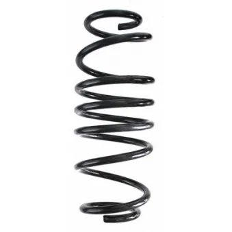 Ressort de suspension SPIDAN 56816