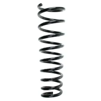 Ressort de suspension SPIDAN 56818