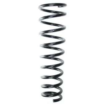 Ressort de suspension SPIDAN 56819