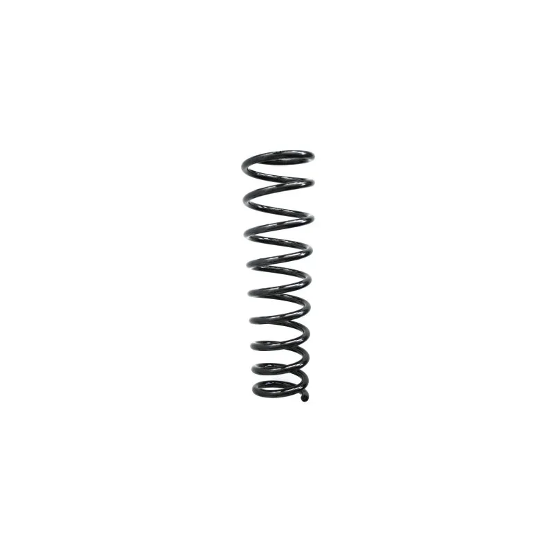 Ressort de suspension SPIDAN 56820