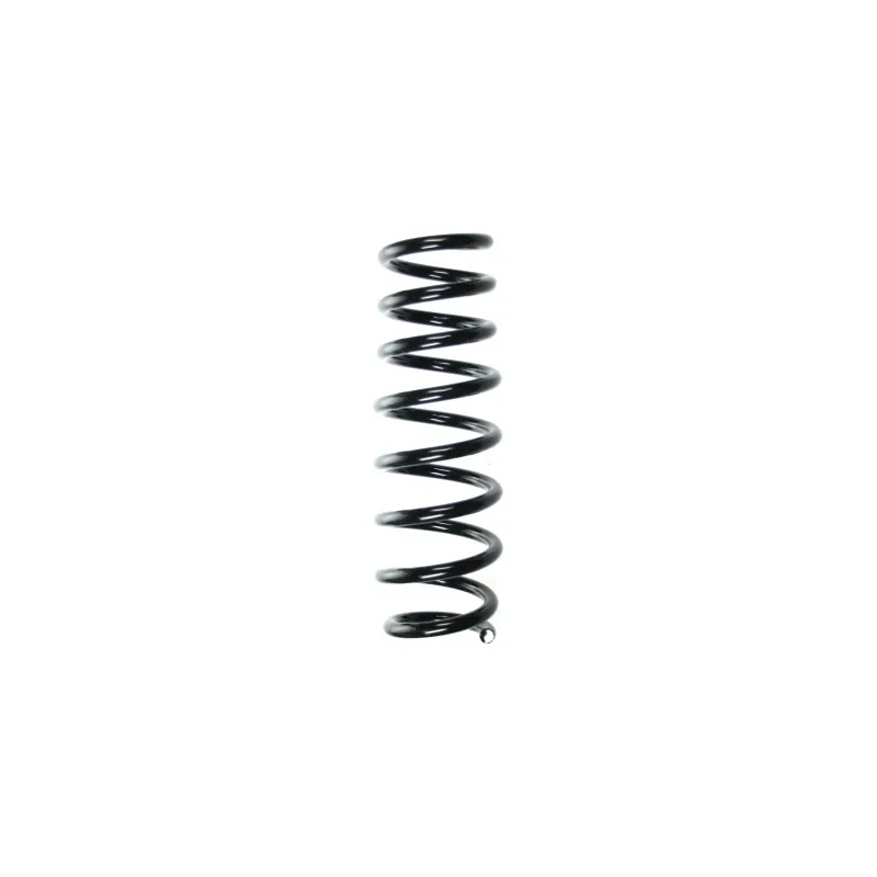 Ressort de suspension SPIDAN 56821