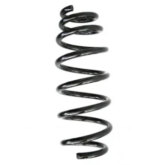 Ressort de suspension SPIDAN 56824