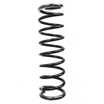 Ressort de suspension SPIDAN 56828