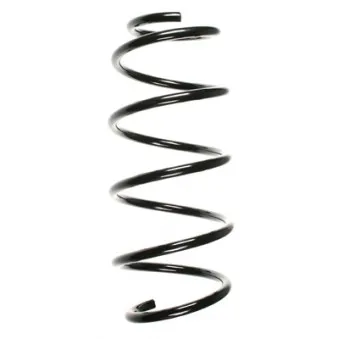 Ressort de suspension SPIDAN 56830