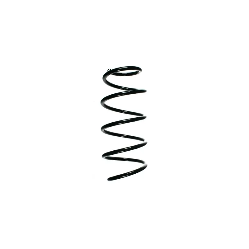 Ressort de suspension SPIDAN 56831