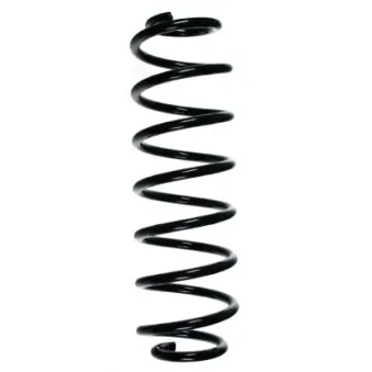 Ressort de suspension SPIDAN 56833