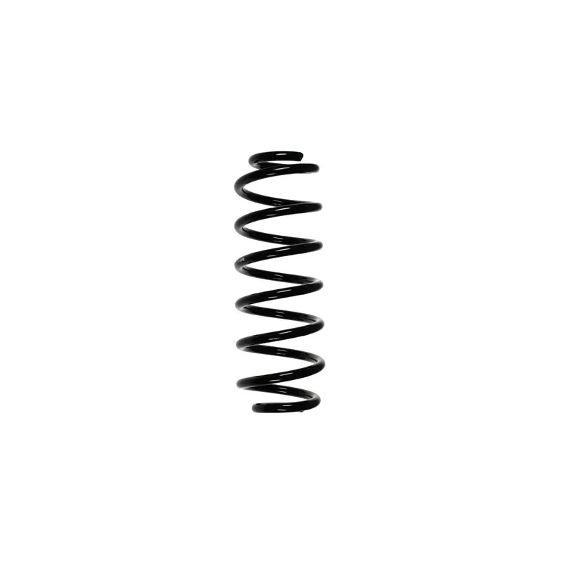 Ressort de suspension SPIDAN 56836